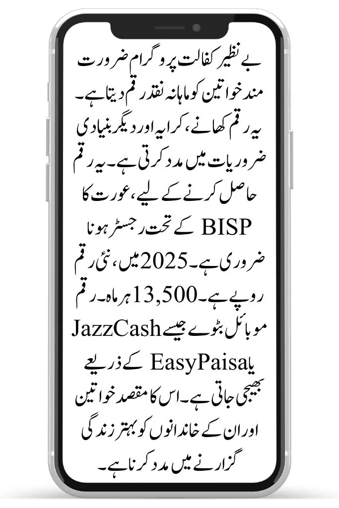 Can You Get Benazir Kafaalat and Taleemi Wazaif Together? 2 image 28