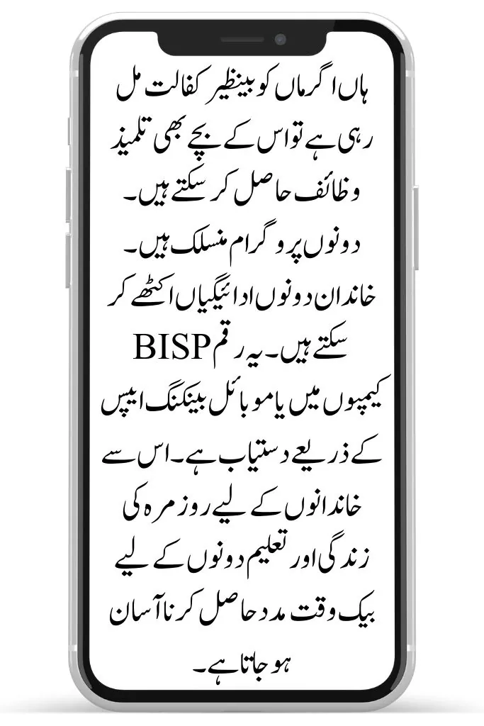 Can You Get Benazir Kafaalat and Taleemi Wazaif Together? 3 image 29