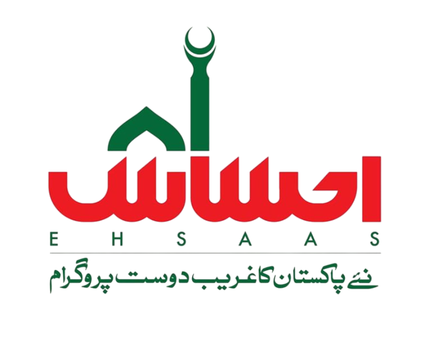 A Complete Overview of the Ehsaas Program and 8171 Online Portal 1 image 30