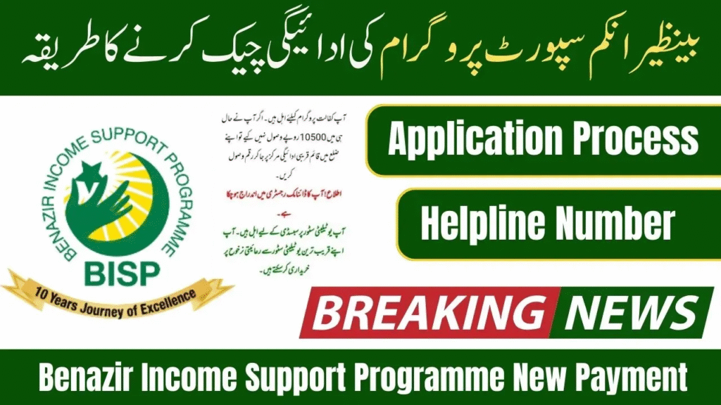 Benazir Income Support Programme New Payment Check Online – Complete Guide for 2025 1 image 36